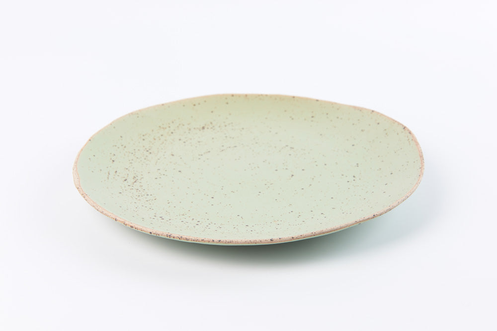 Freeform Plate 10