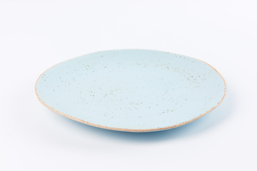 Freeform Plate 10