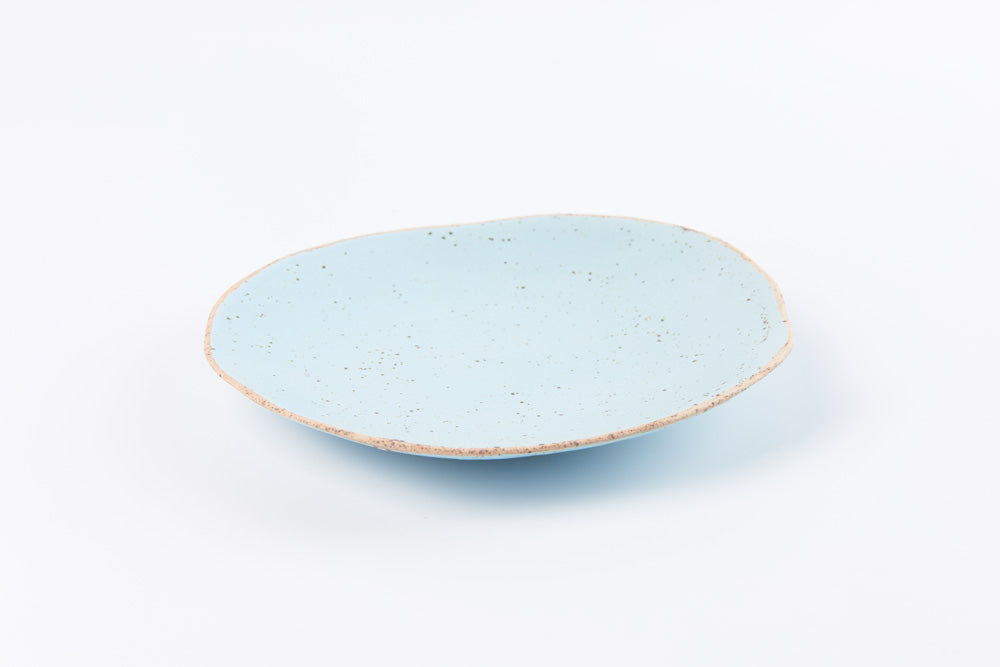 Freeform Plate 8